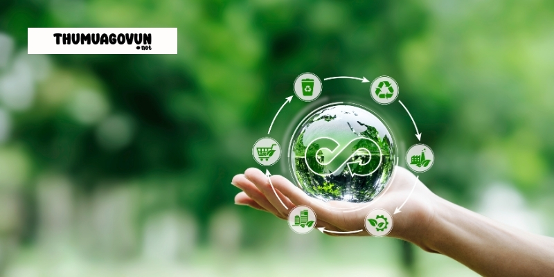 Khám Phá Thị Trường Thu Mua Phế Liệu Quận 10